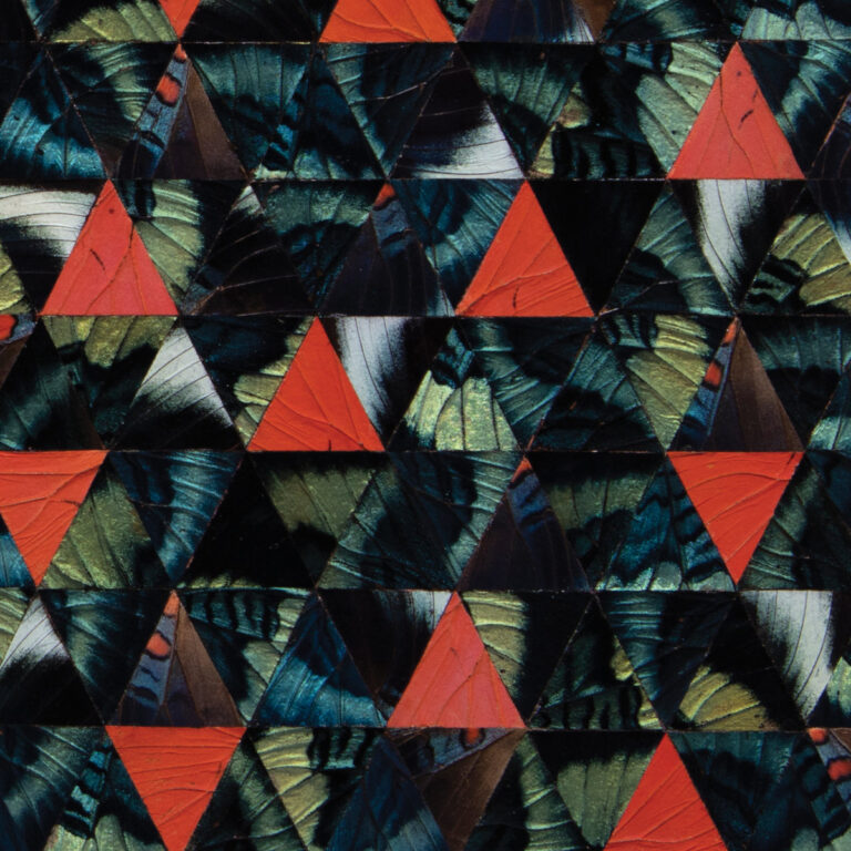 Kris Davis’ Diatom Ribbons – ‘Live At The Village Vanguard’
